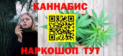 ешки Гай