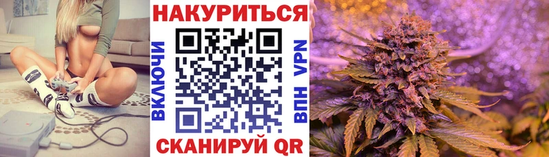 где купить наркоту  Ливны  Шишки марихуана марихуана 